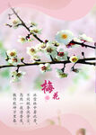 梅花