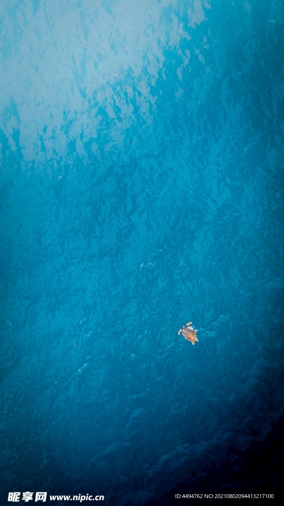 海归