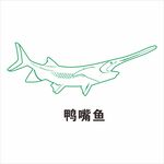 鸭嘴鱼