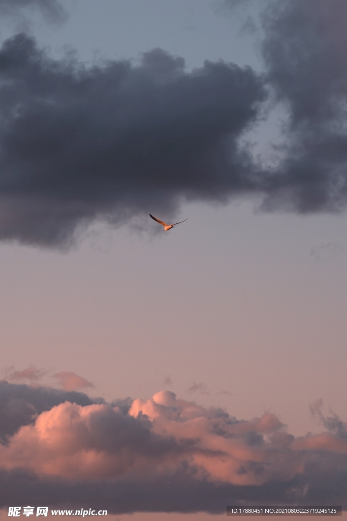 天空