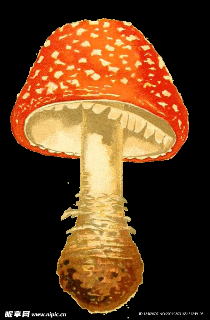 复古插画