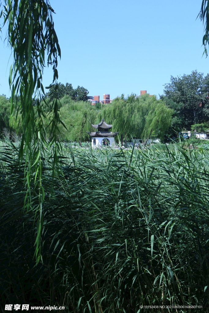 园林风景