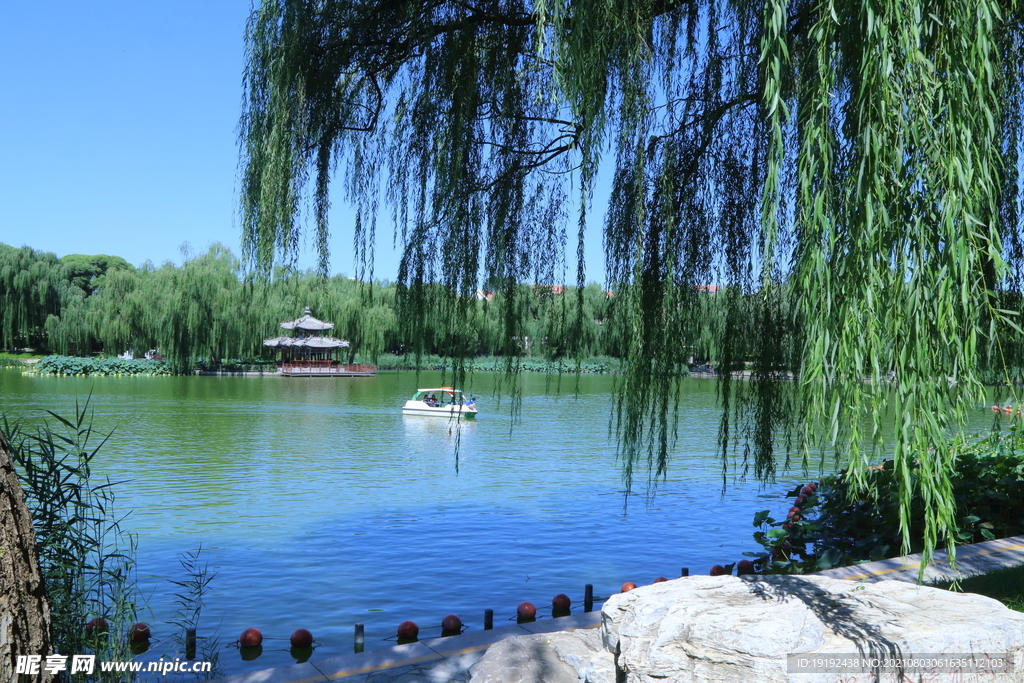 园林风景 