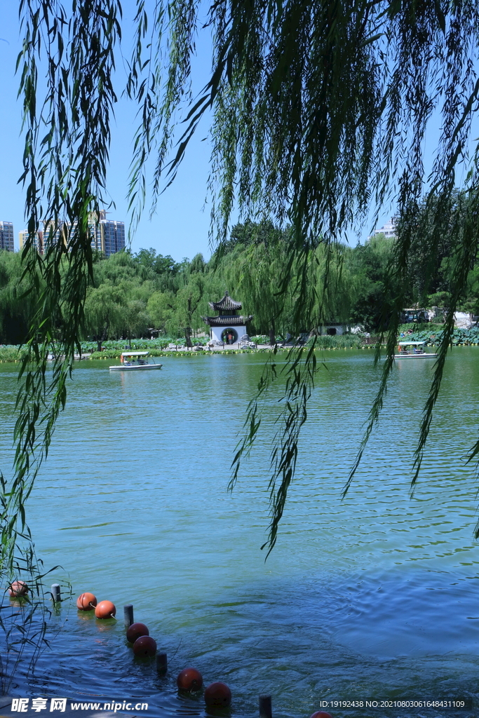 园林风景 