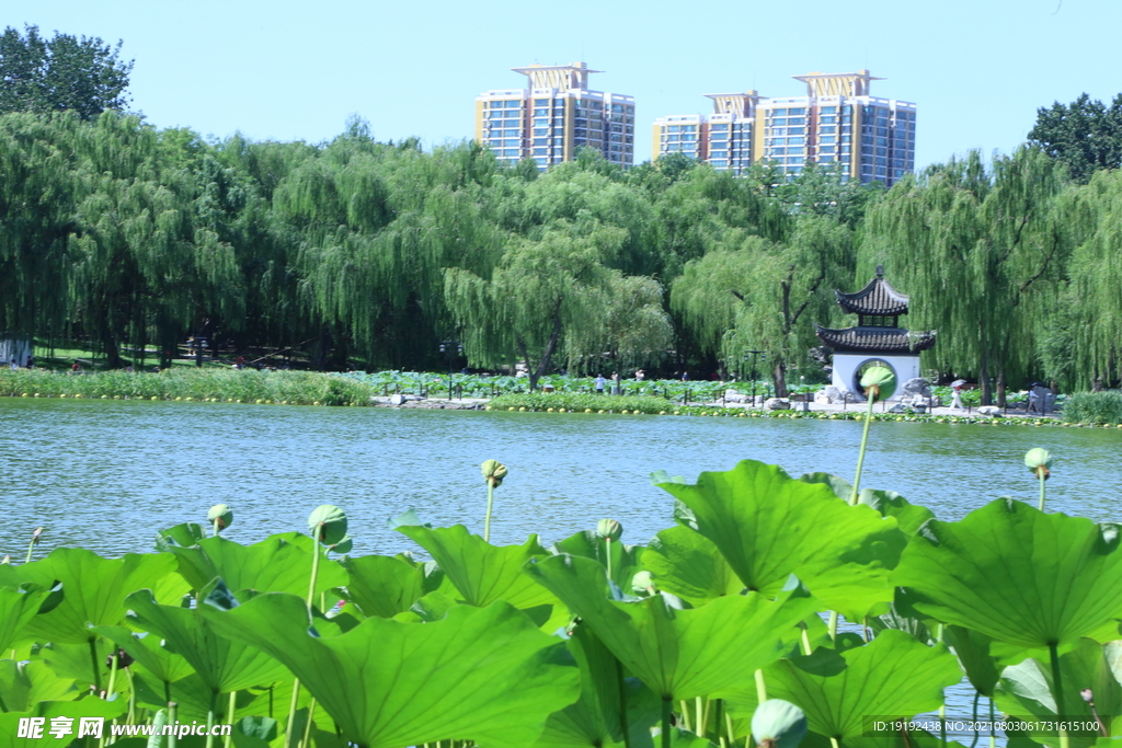 园林风景