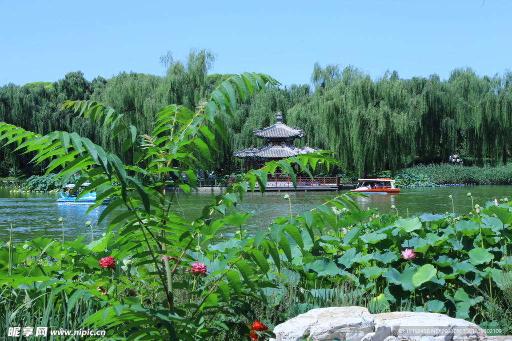 园林风景 