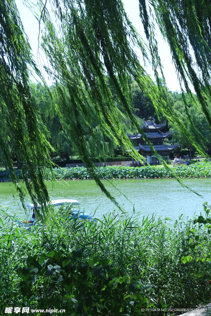 园林风景 