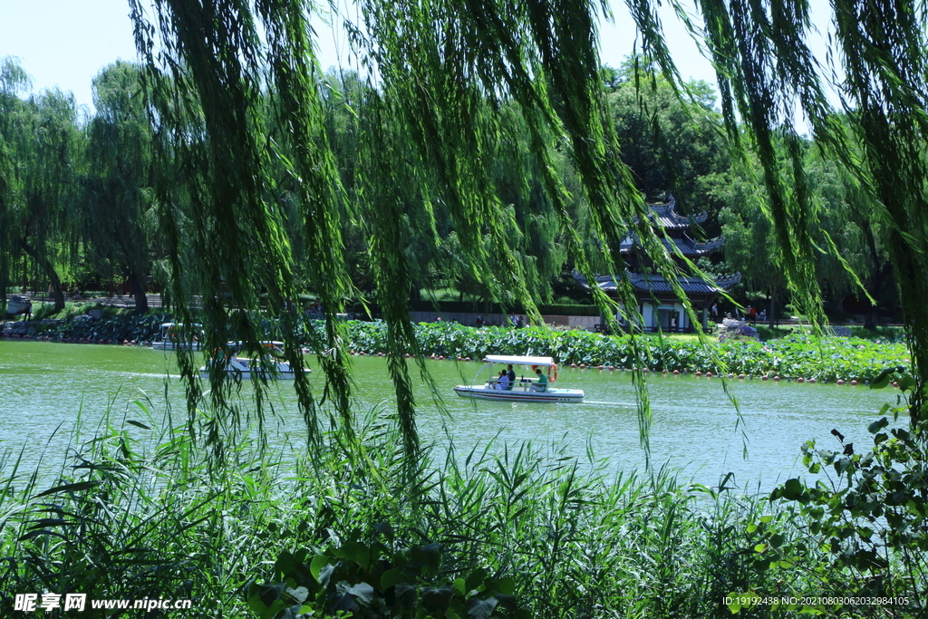 园林风景 