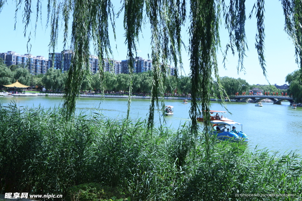 园林风景