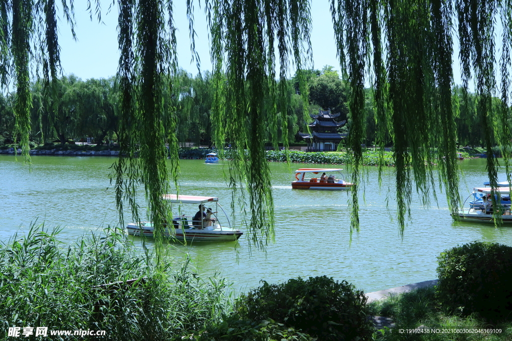 园林风景 