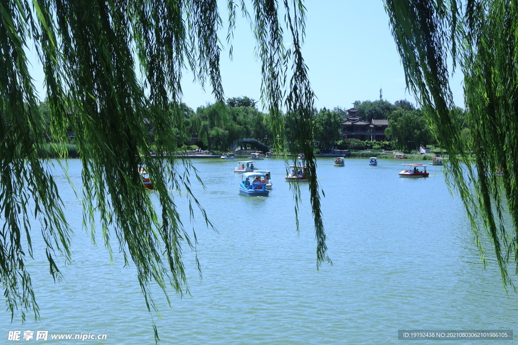 园林风景 