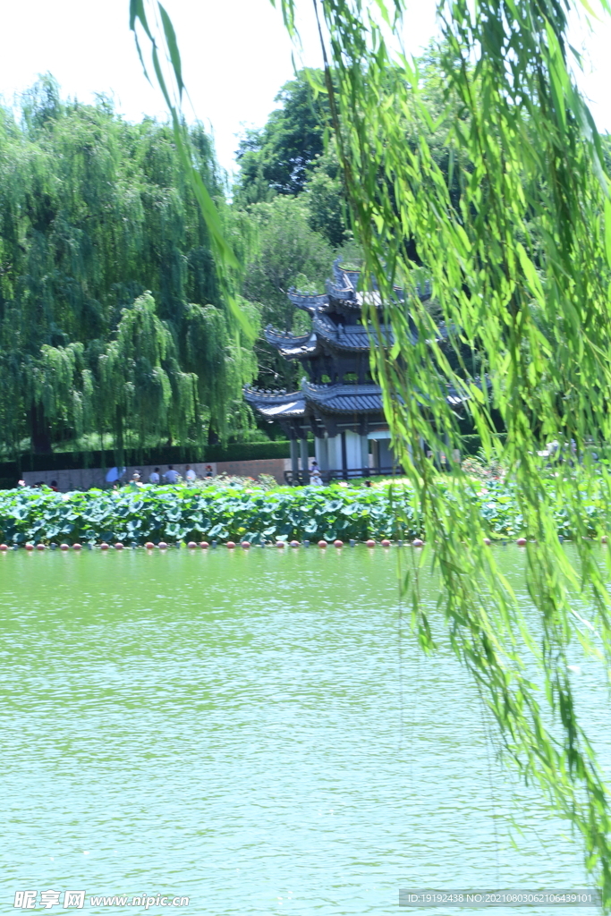 园林风景 