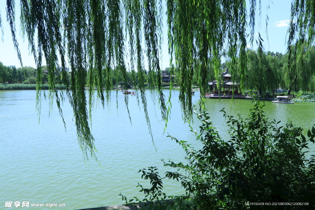 园林风景
