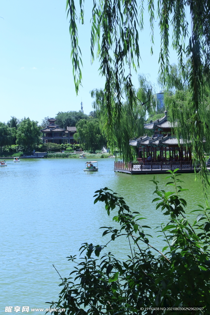 园林风景 