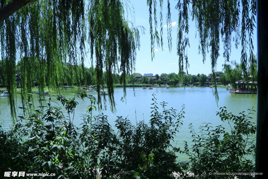园林风景 