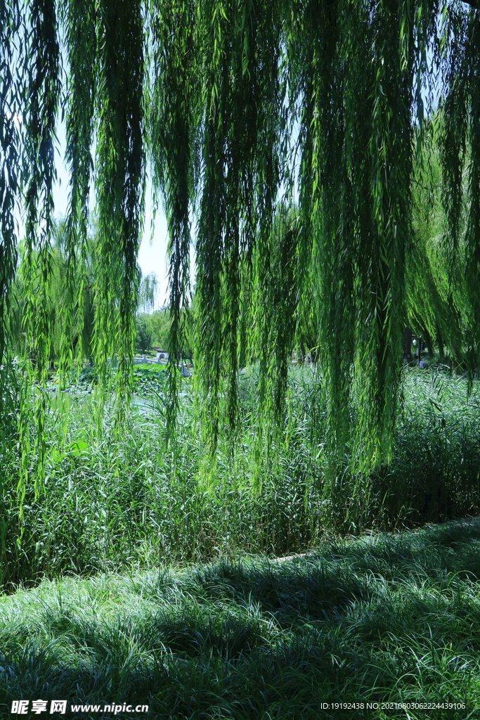 园林风景