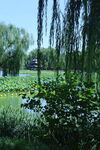 公园风景 
