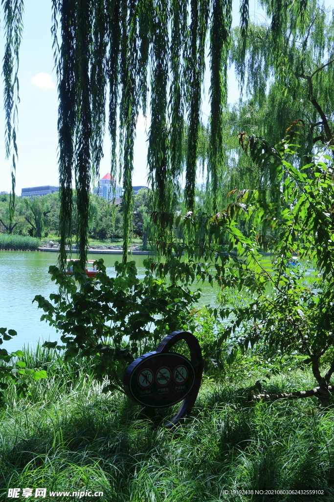 园林风景 