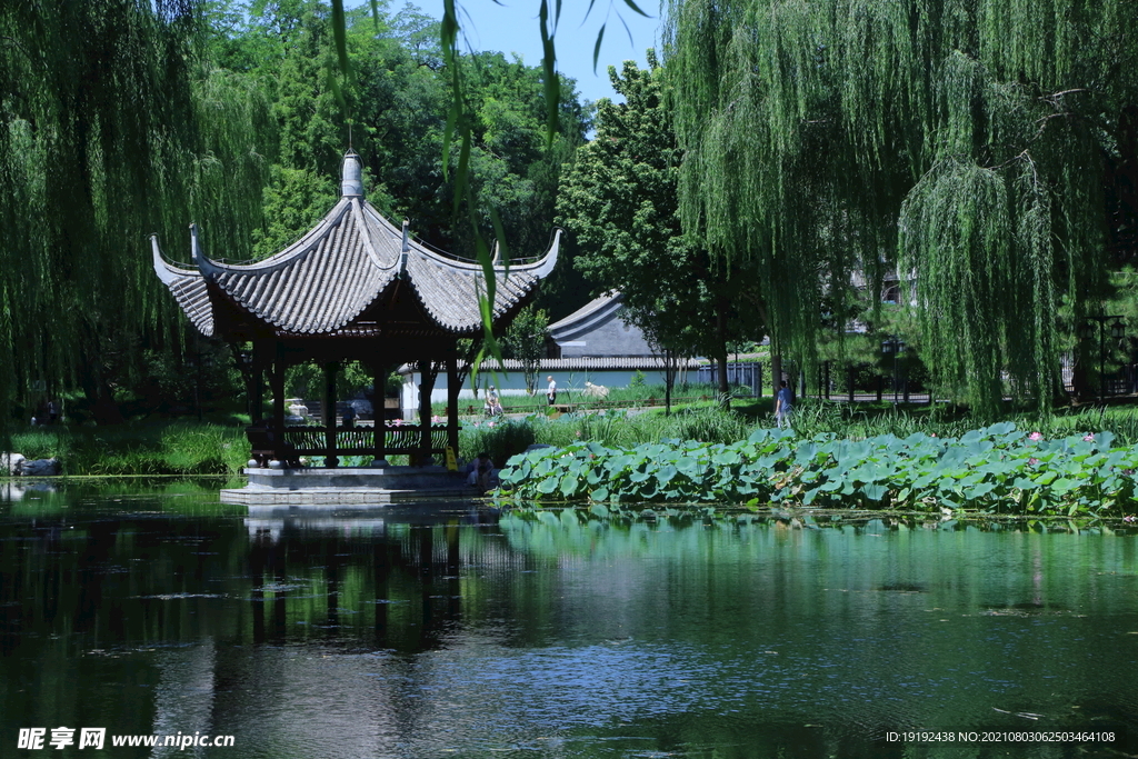 公园风景 