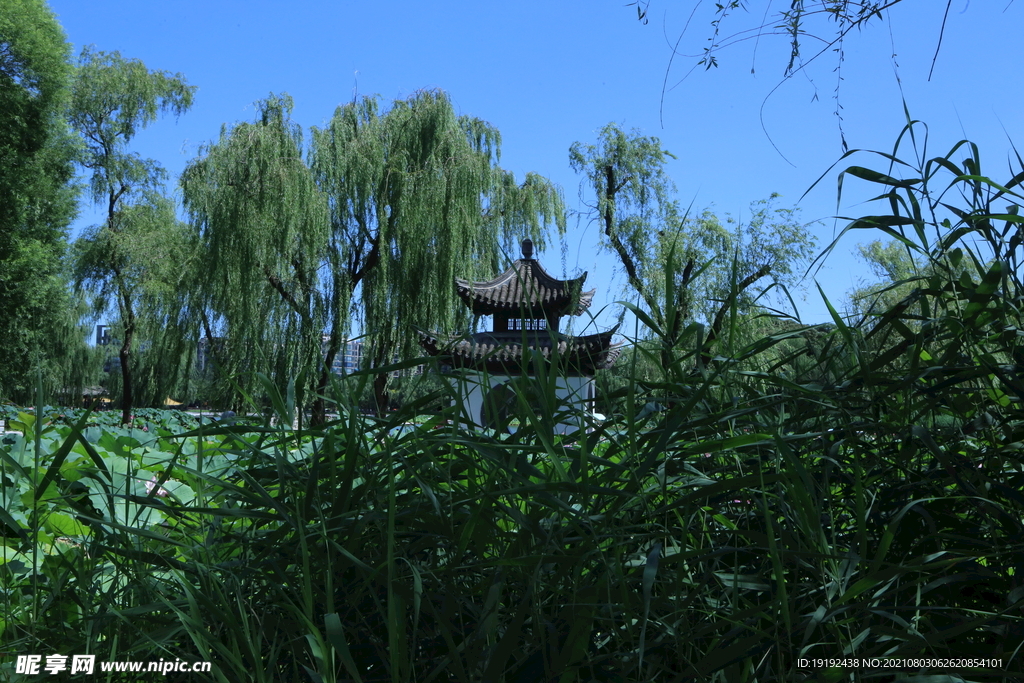 园林风景