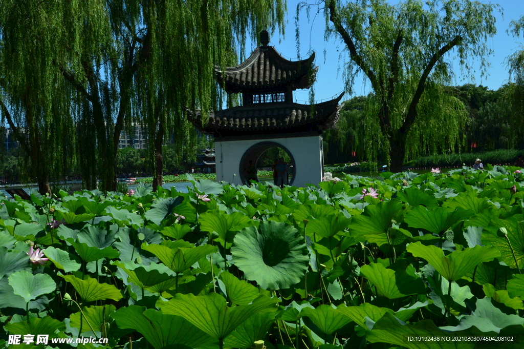 园林风景 