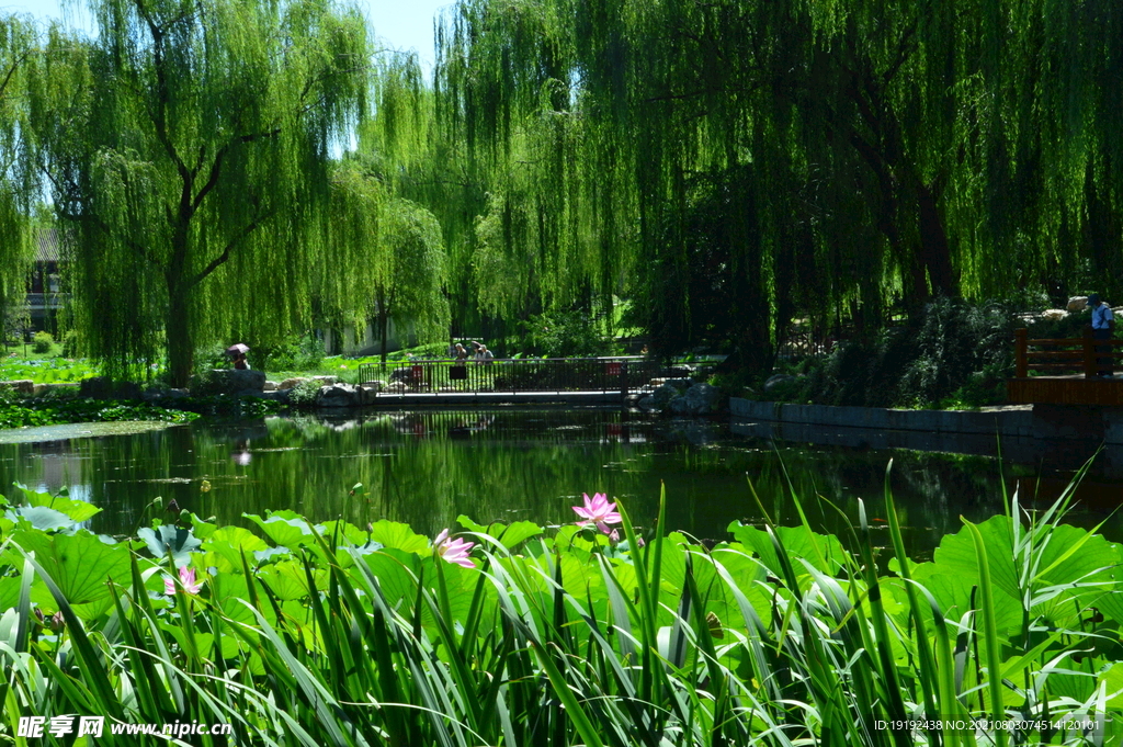 园林风景