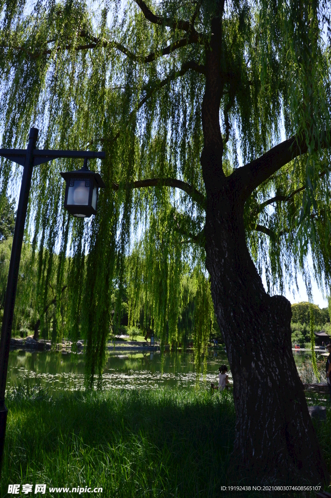 园林风景 