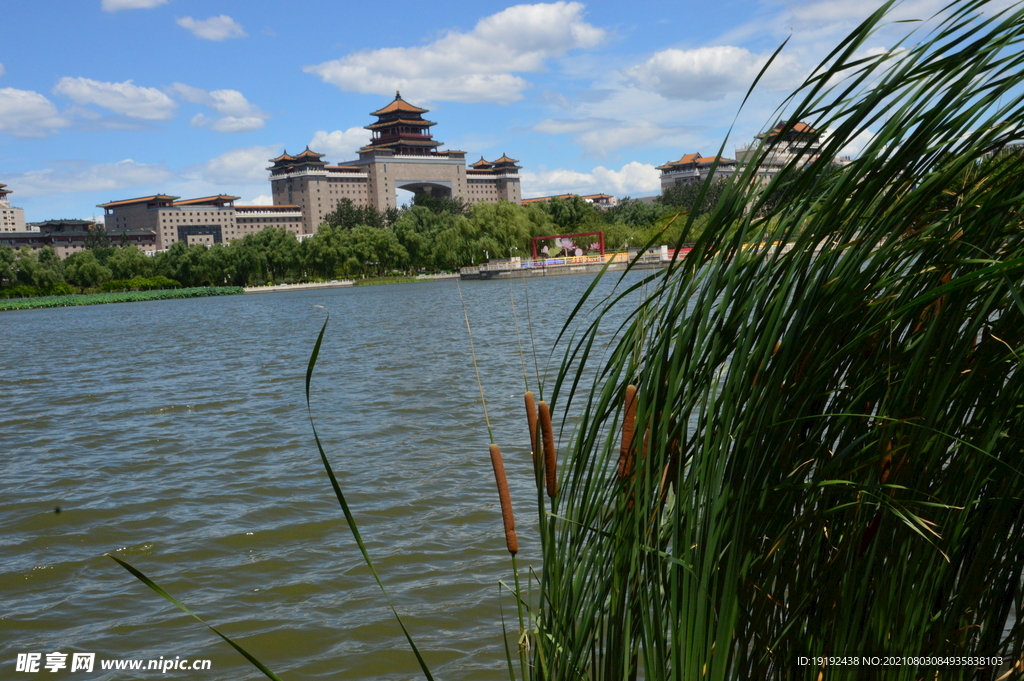公园风景 