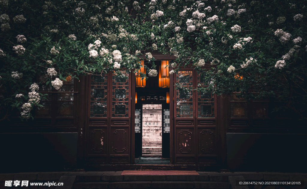 繁花似锦的庭院
