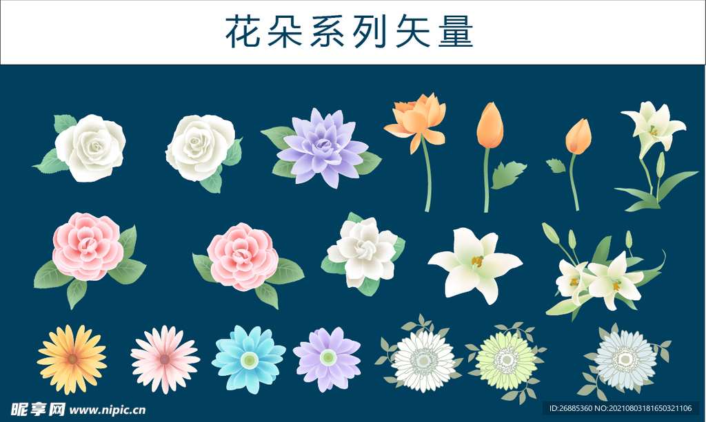 花朵系列矢量
