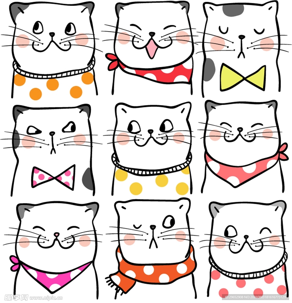 猫