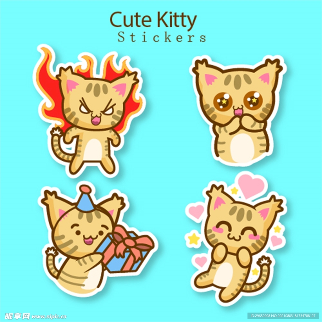 猫