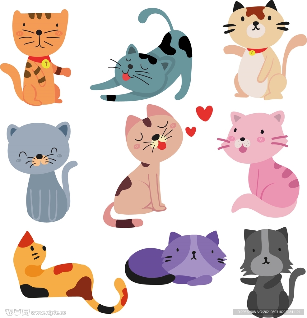 猫