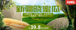 水果图片banner