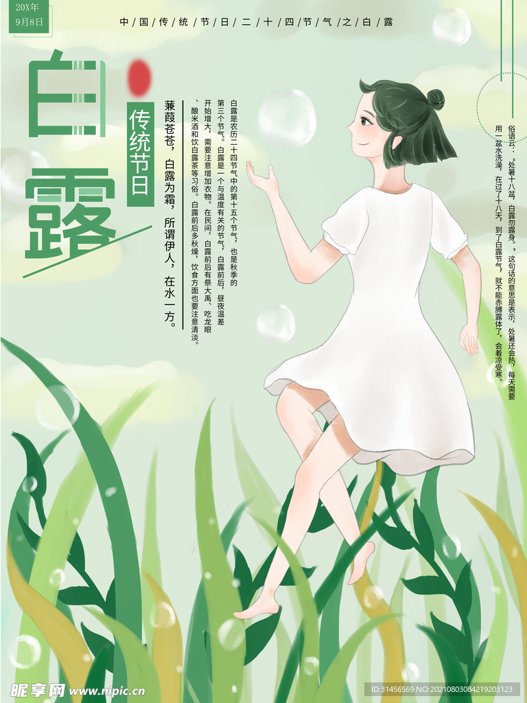 白露