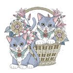 卡通猫