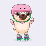 狗