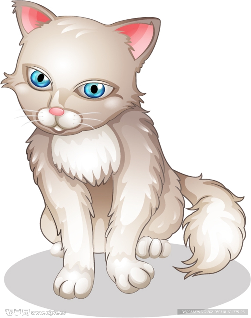 卡通猫