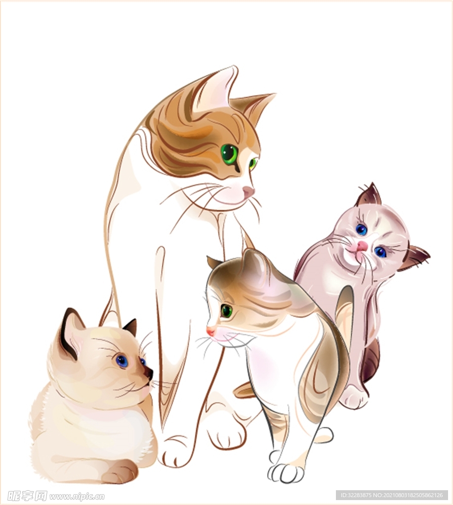 卡通猫