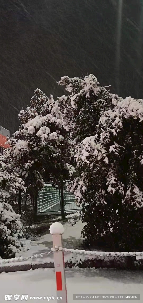 雪