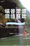漂流海报