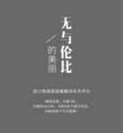 可编辑文字排版
