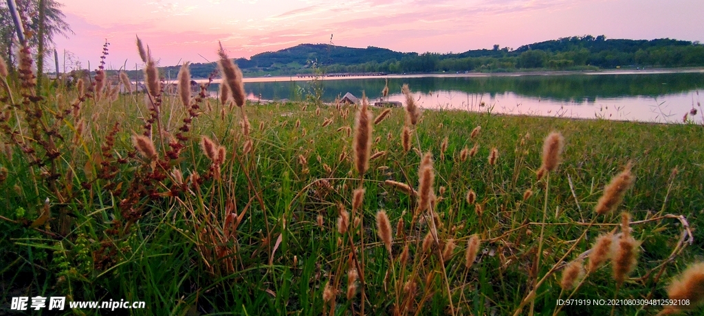 牟山