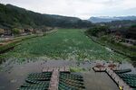 大田湿地人家