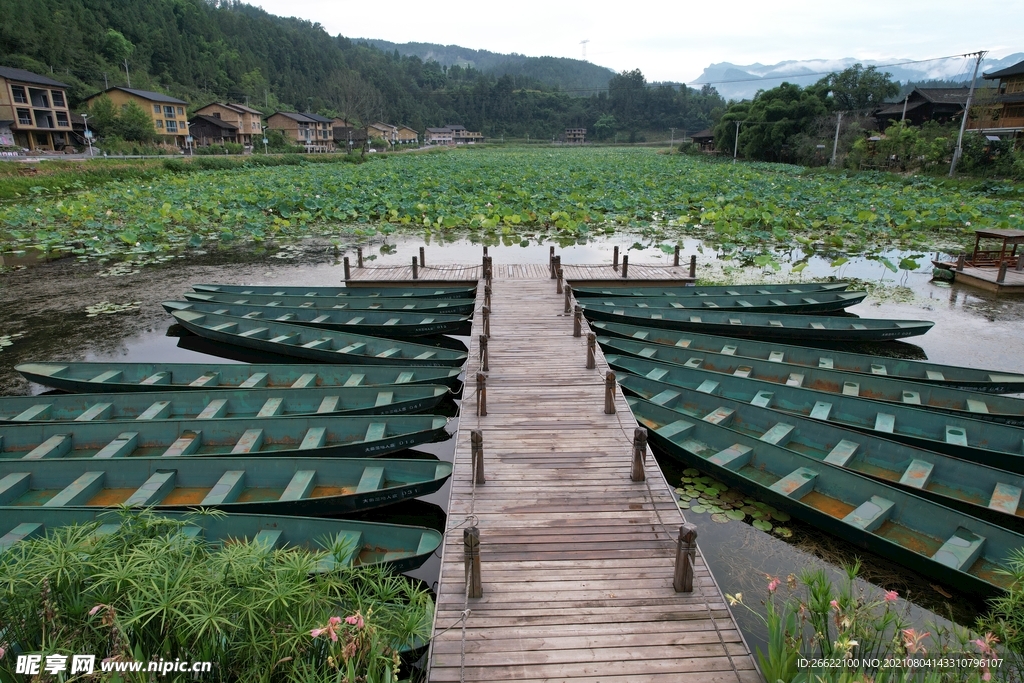 大田湿地人家