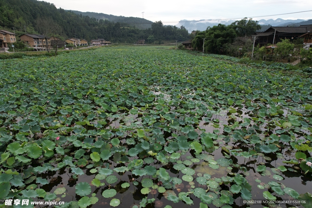 大田湿地人家