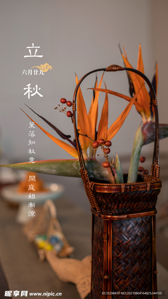 立秋海报