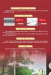 诺贝尔瓷砖