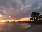 奥克兰海滨夕阳风光