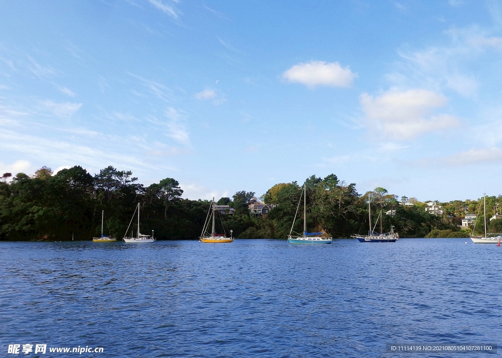 奥克兰海湾风景